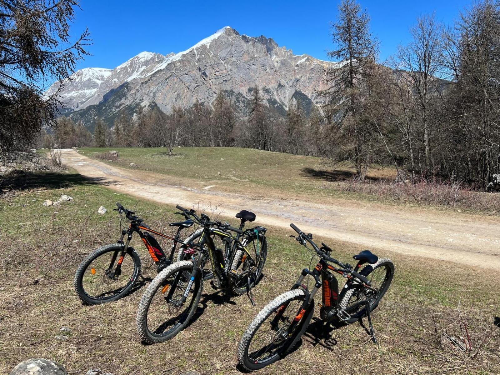 "La Batisse Des Pres" Leilighet Puy-Saint-Vincent Eksteriør bilde